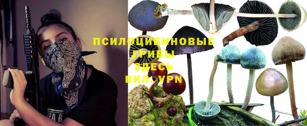 кристаллы Тайга